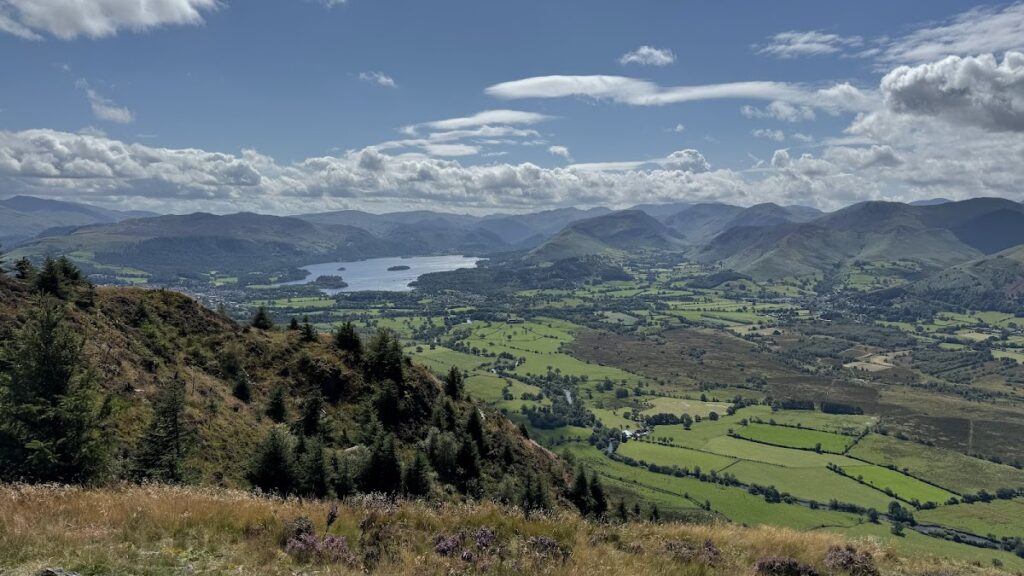 Dodd Wood – Forestry England