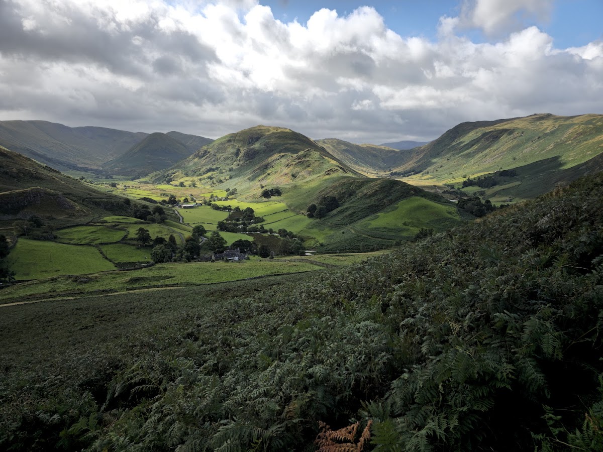 hallin fell