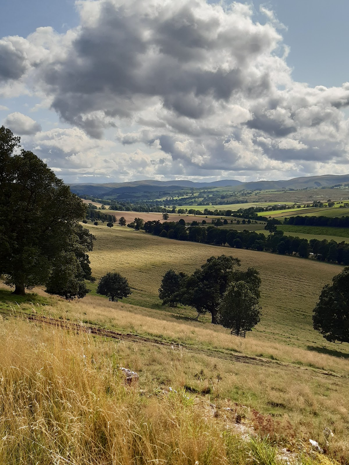 hay bridge nature reserve