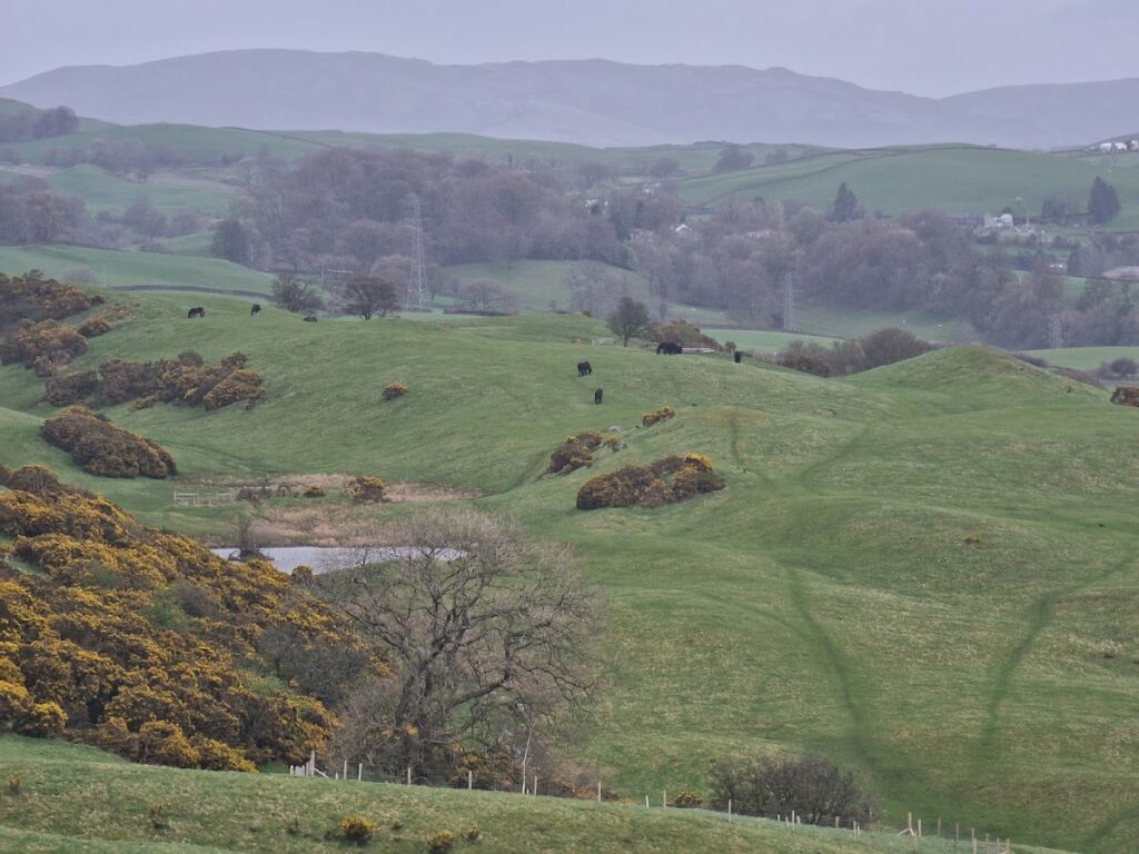 The Helm: A Hidden Gem for Fell Ponies and Lakeland Walks