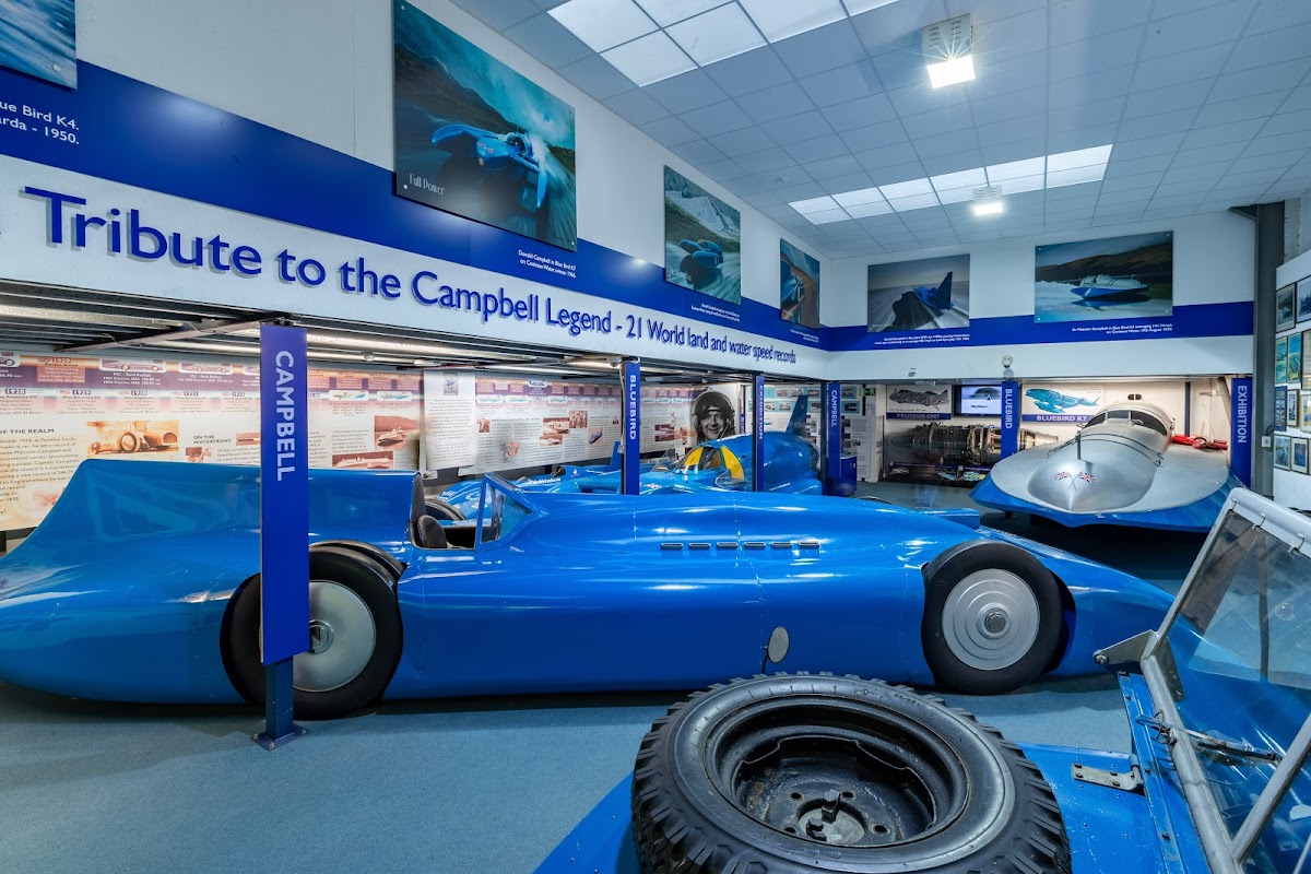 campbell bluebird exhibition