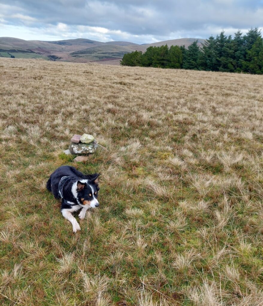 Cold Fell