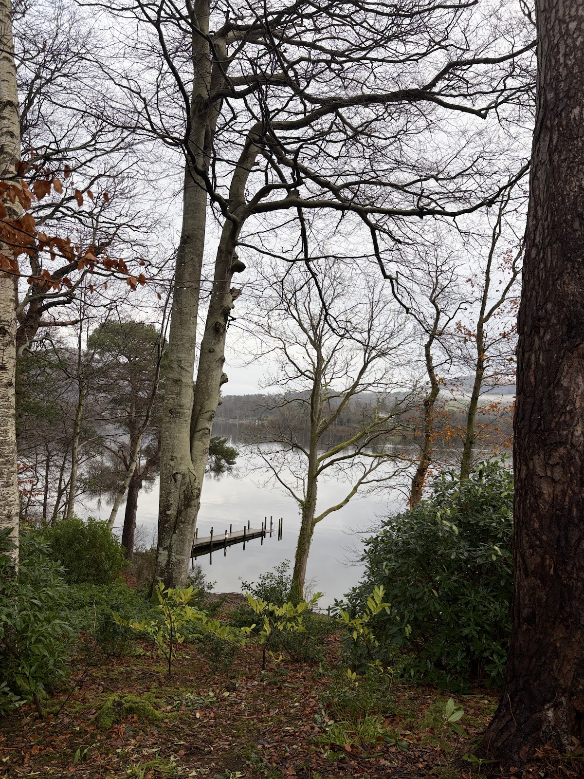 fellside sauna lingholm