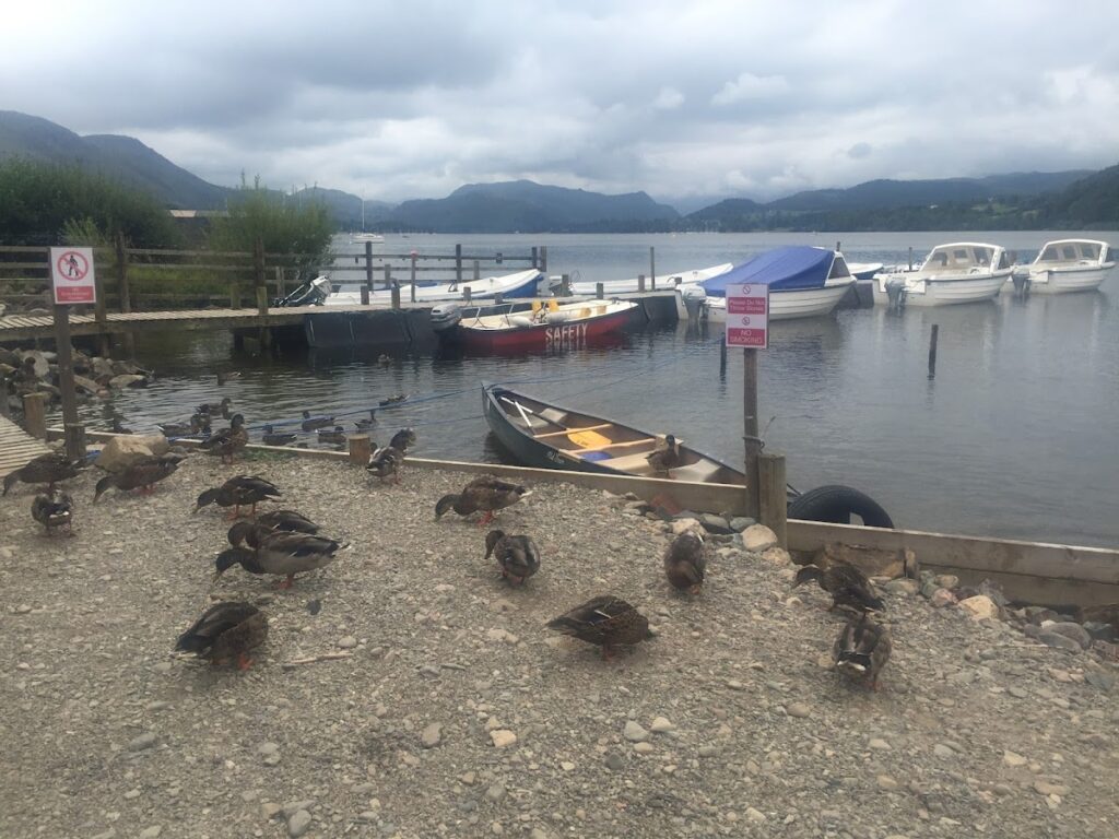 Lakeland Boat Hire