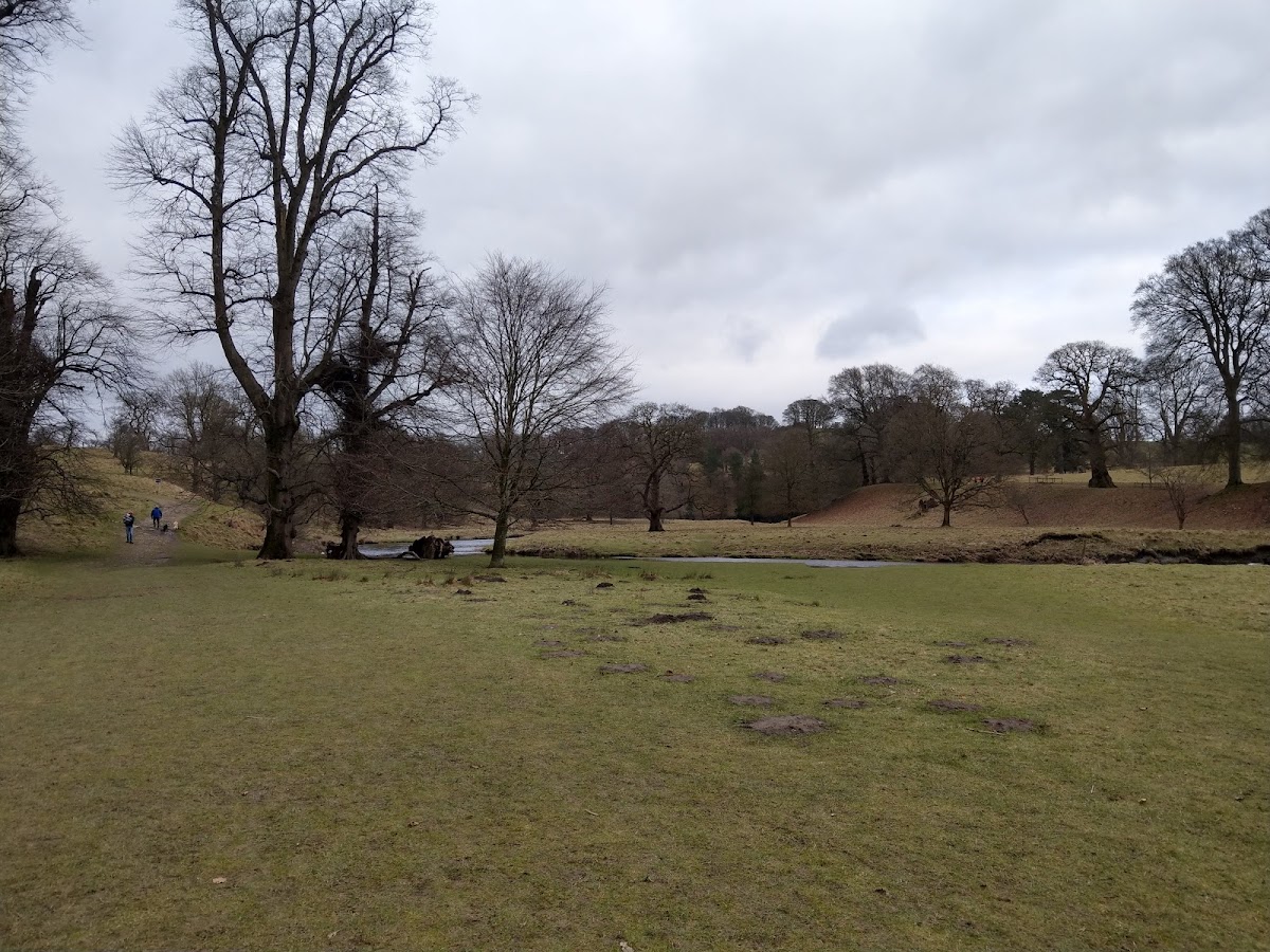 levens deer park