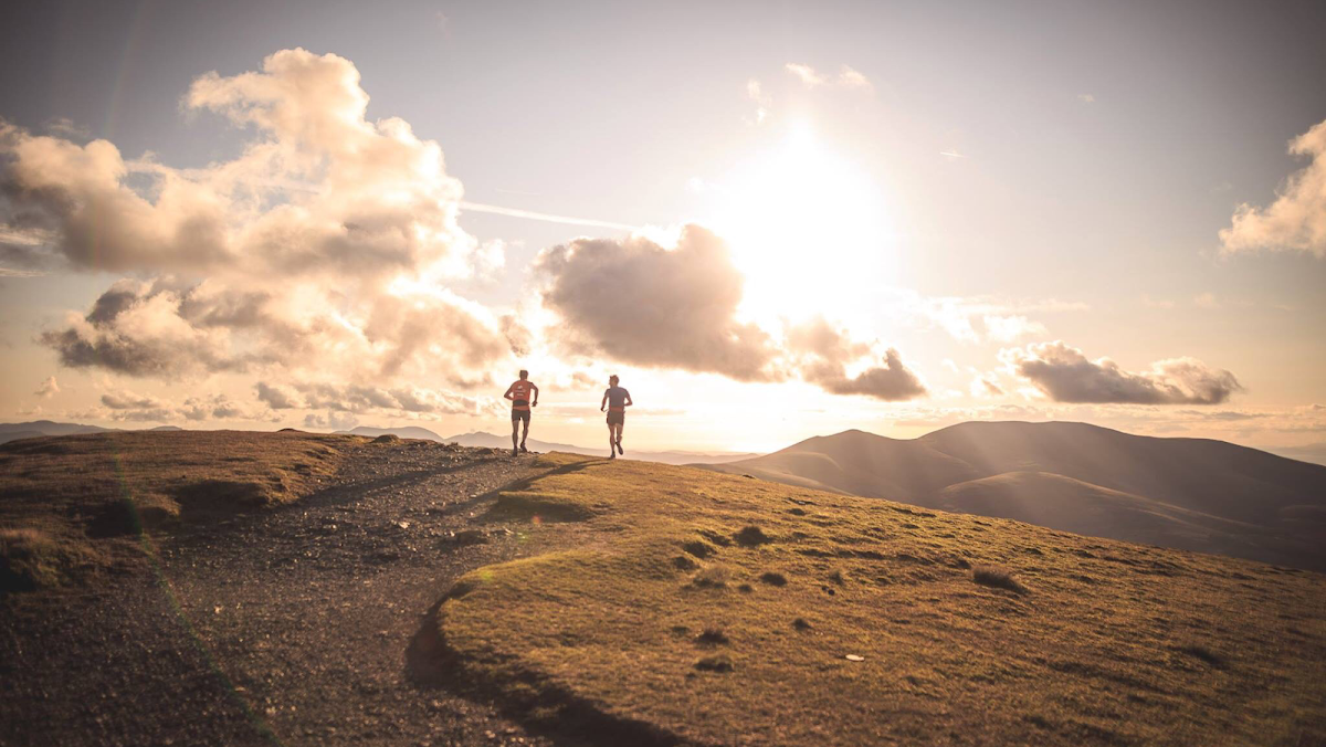 tonkin massage therapies